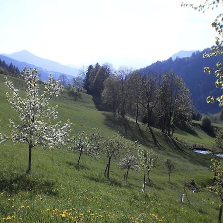 Bio-Bauernhof Nichlgut Villa Eben Im Pongau Kültér fotó