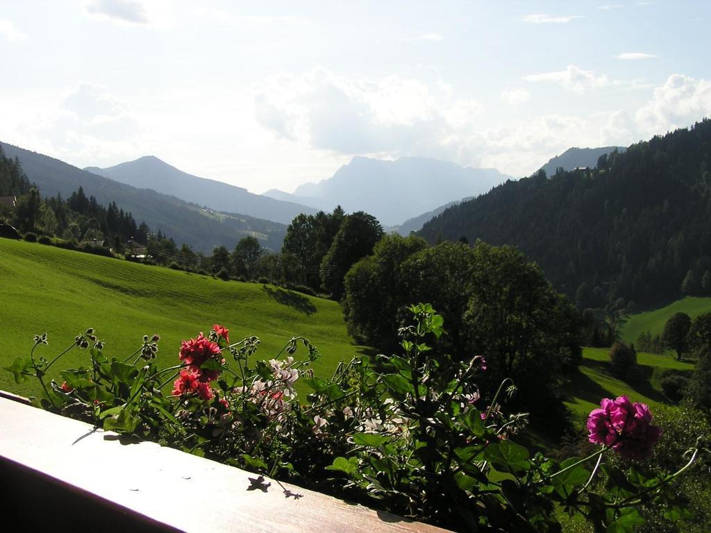 Bio-Bauernhof Nichlgut Villa Eben Im Pongau Kültér fotó