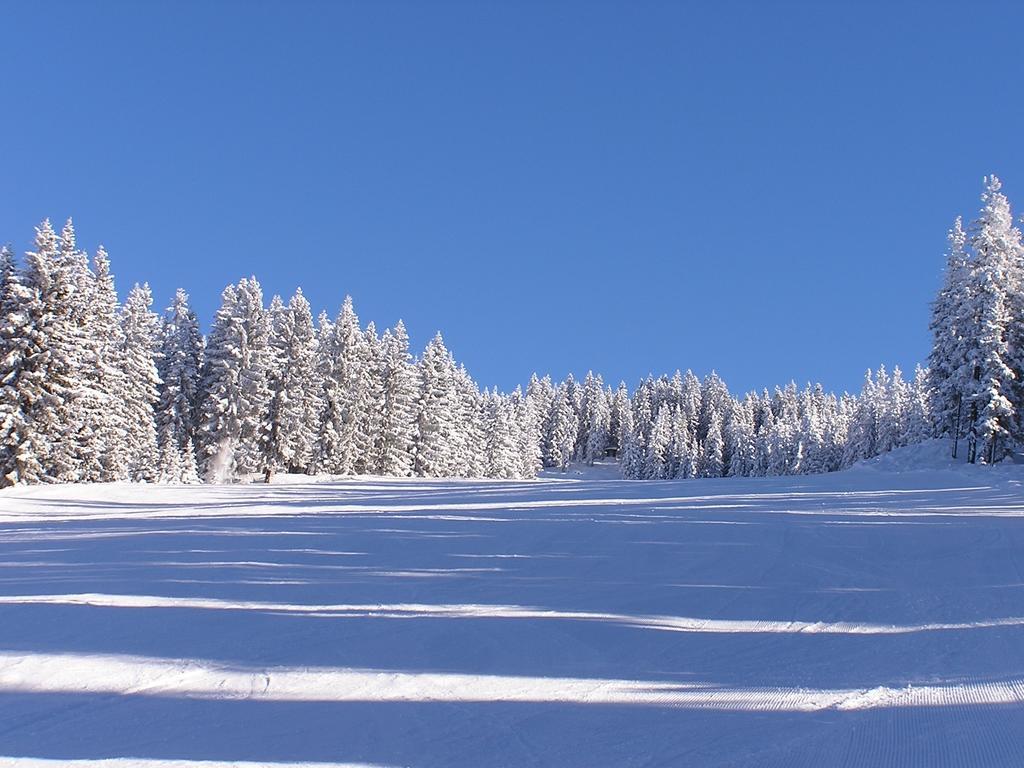 Bio-Bauernhof Nichlgut Villa Eben Im Pongau Szoba fotó