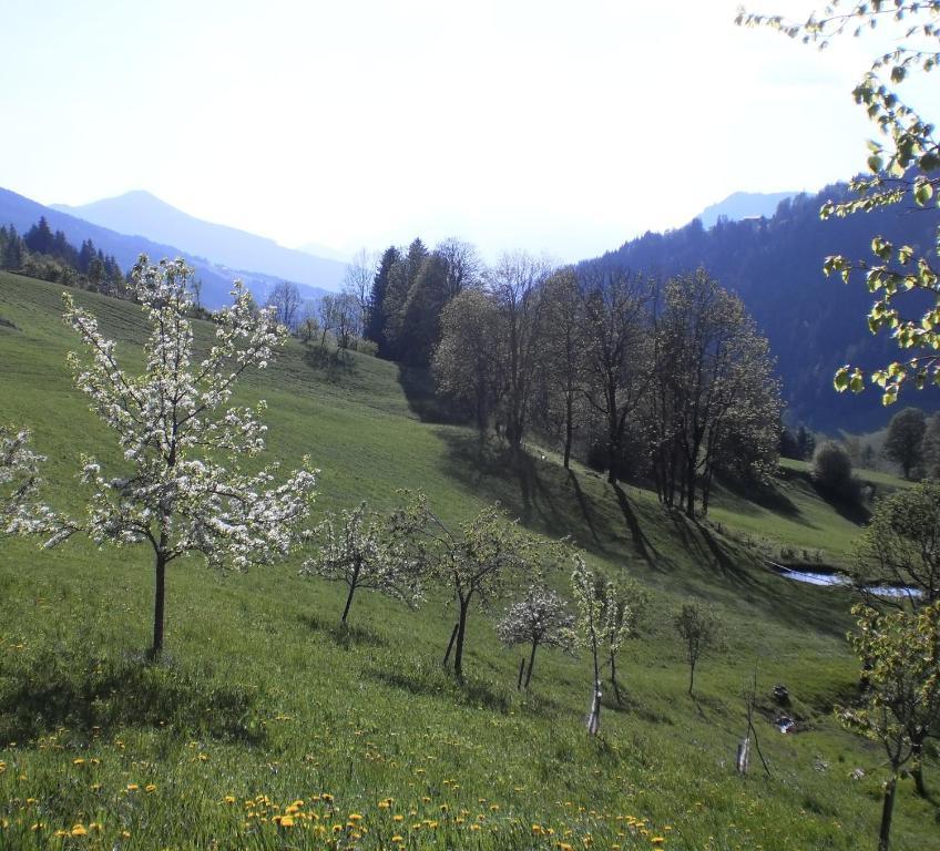 Bio-Bauernhof Nichlgut Villa Eben Im Pongau Szoba fotó