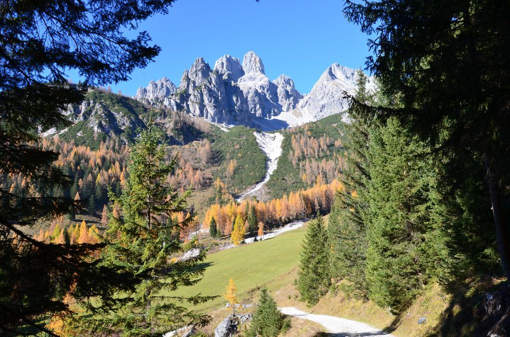 Bio-Bauernhof Nichlgut Villa Eben Im Pongau Kültér fotó