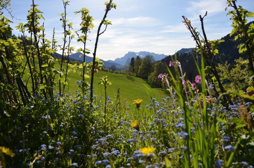 Bio-Bauernhof Nichlgut Villa Eben Im Pongau Kültér fotó