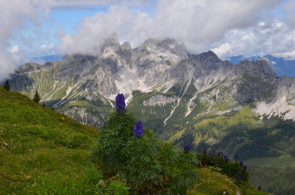 Bio-Bauernhof Nichlgut Villa Eben Im Pongau Kültér fotó