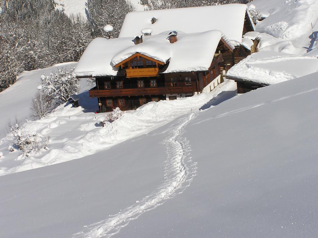 Bio-Bauernhof Nichlgut Villa Eben Im Pongau Kültér fotó