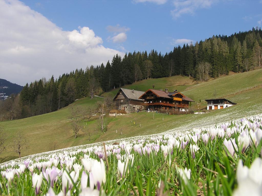 Bio-Bauernhof Nichlgut Villa Eben Im Pongau Kültér fotó